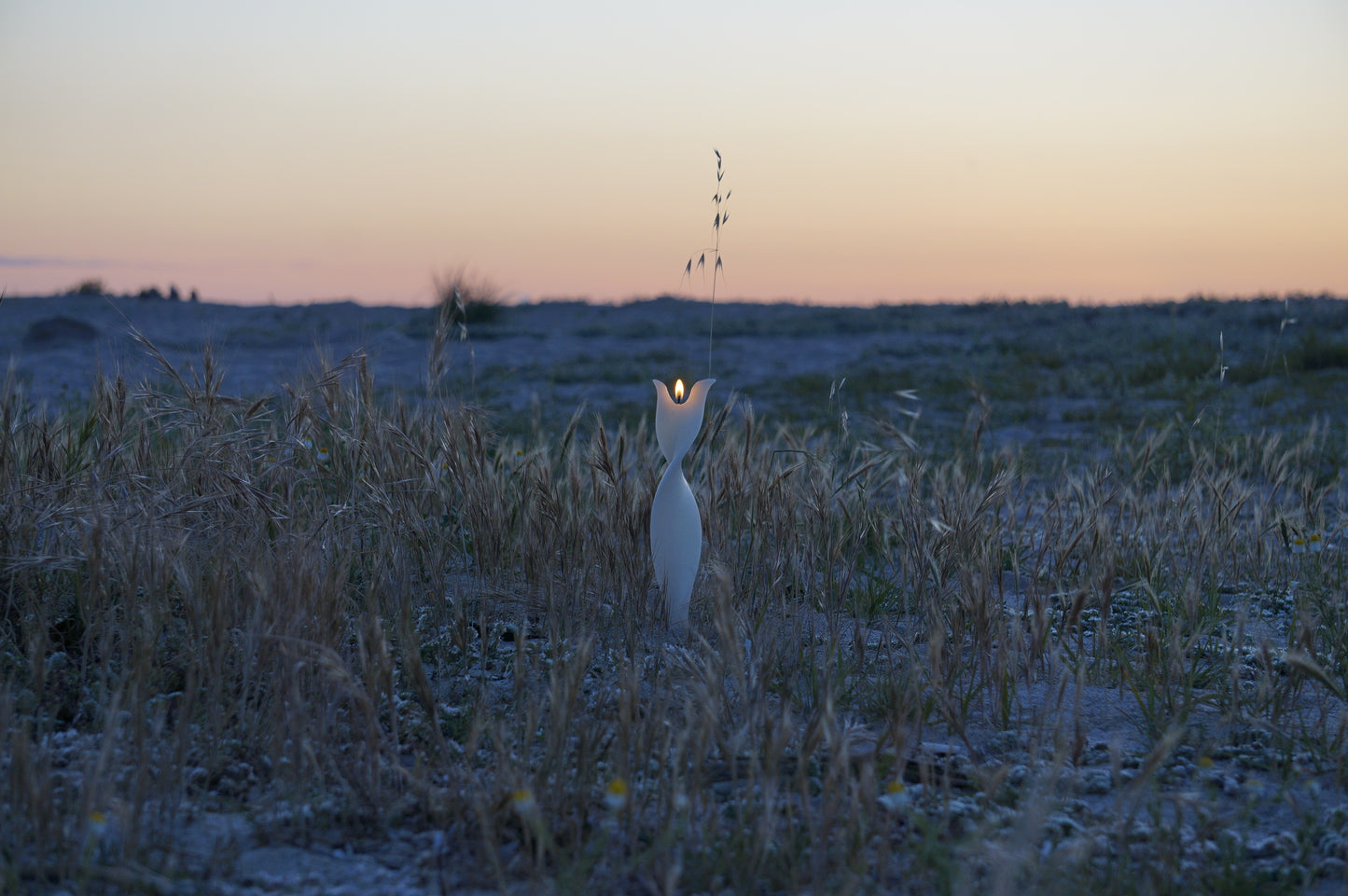 Eine weiße Engelskerze, brennend, inmitten von wildem Hafer an einem Strand. Im HIntergrund ist der Morgenhimmel zu sehen in einem hellen apricot leuchtet er und lässt den Tag erklingen.